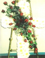 Arreglo: 23